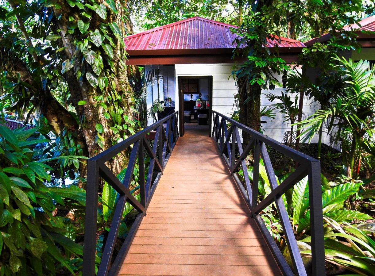 Casa Del Rio La Fortuna Exterior foto